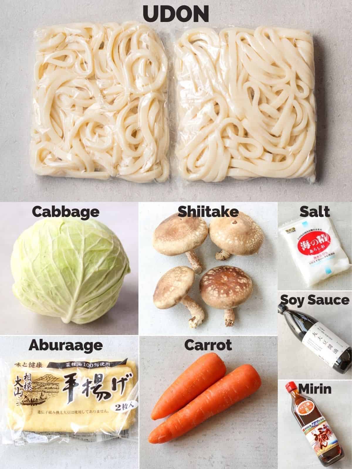 Vegetable Yaki Udon Noodles Recipe