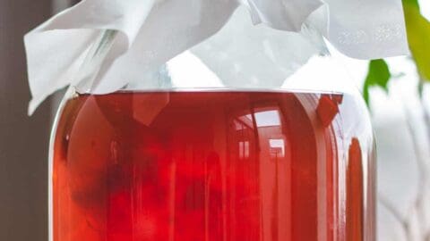 kombucha-first-fermentation-
