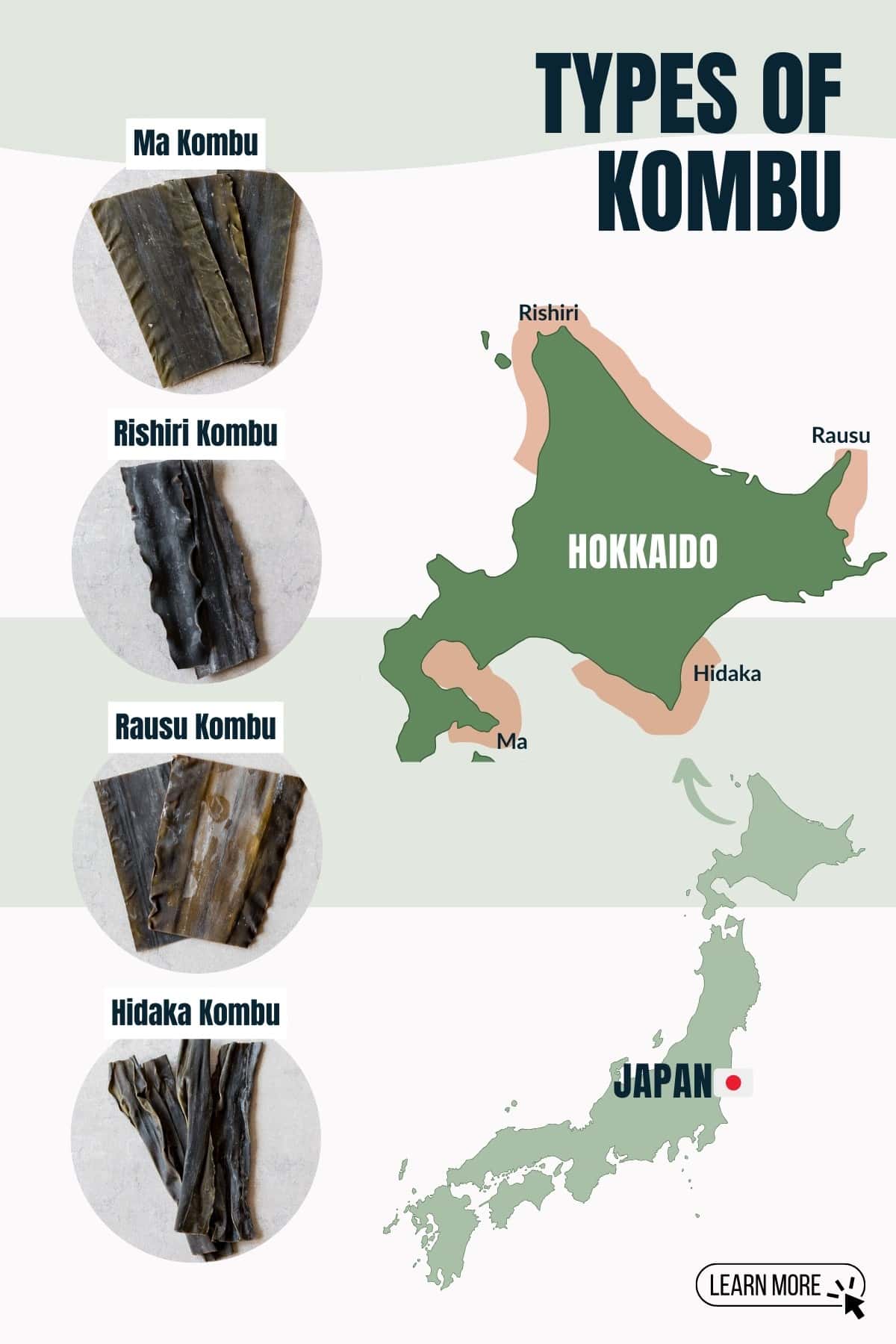 Kombu types infographic.