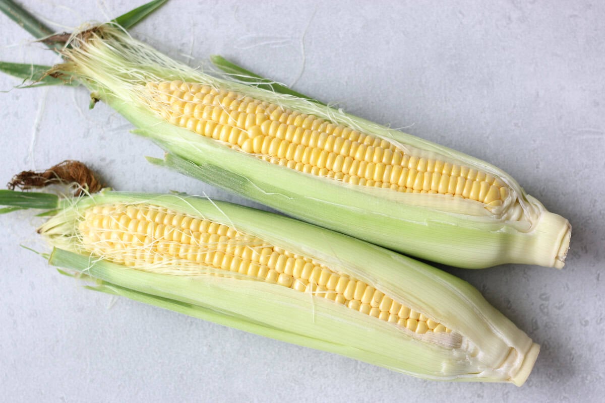 Corn.