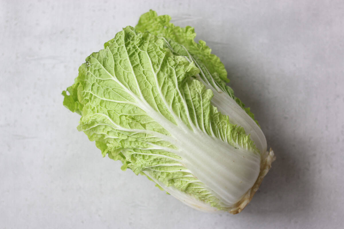 Napa cabbage.